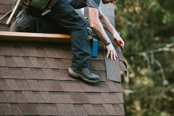Best Roof Gutter Cleaning  in Maud, TX